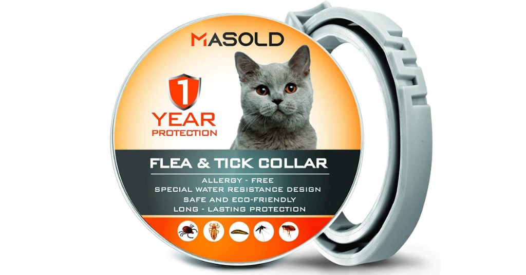 Best Cat Flea Collars A Detailed Review to Help You Choose One